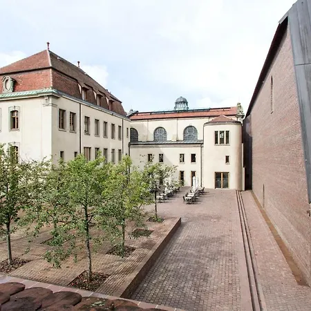 La Cour Du Musee קולמר